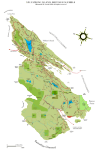 Salt Spring map
